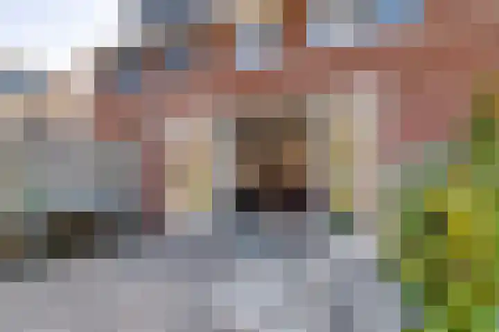 Binnenbaan 35 Gorinchem thumbnail 8