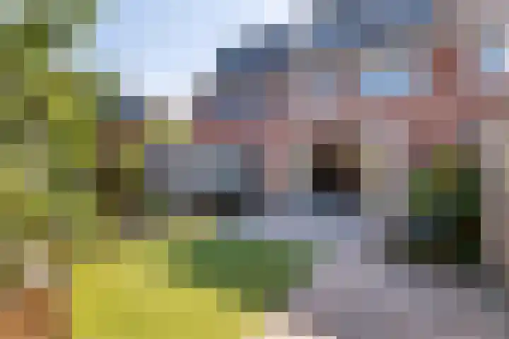 Binnenbaan 35 Gorinchem thumbnail 9