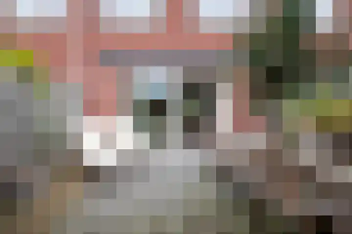Binnenbaan 36 Gorinchem thumbnail 17