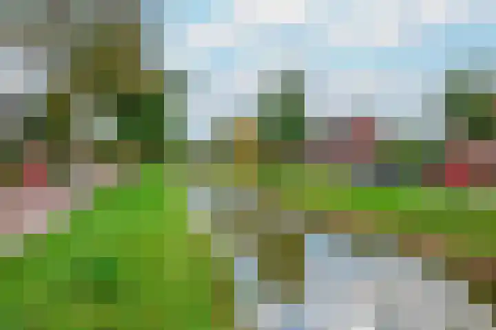 Binnenbaan 36 Gorinchem thumbnail 20