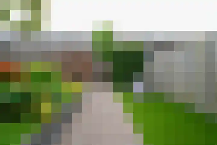 Binnenbaan 61 Gorinchem thumbnail 37