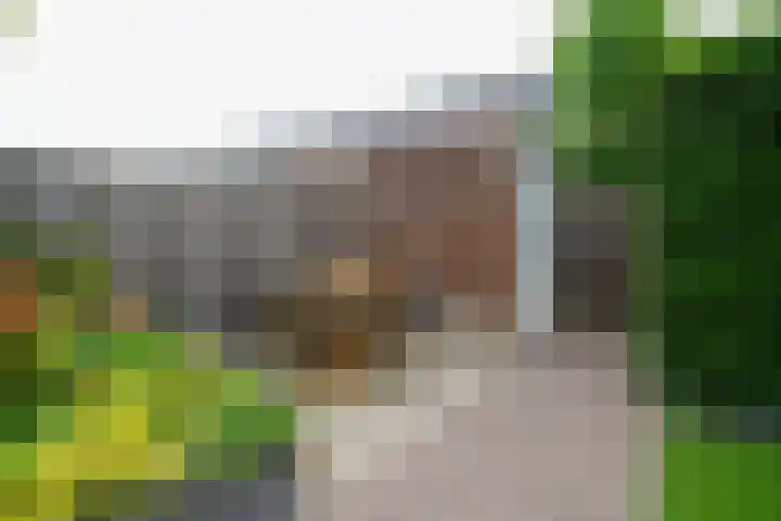 Binnenbaan 61 Gorinchem thumbnail 39