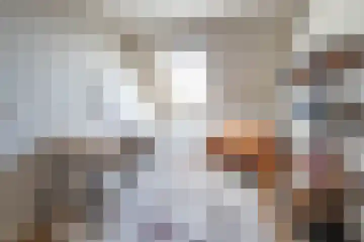 Binnenbaan 69 Gorinchem thumbnail 33