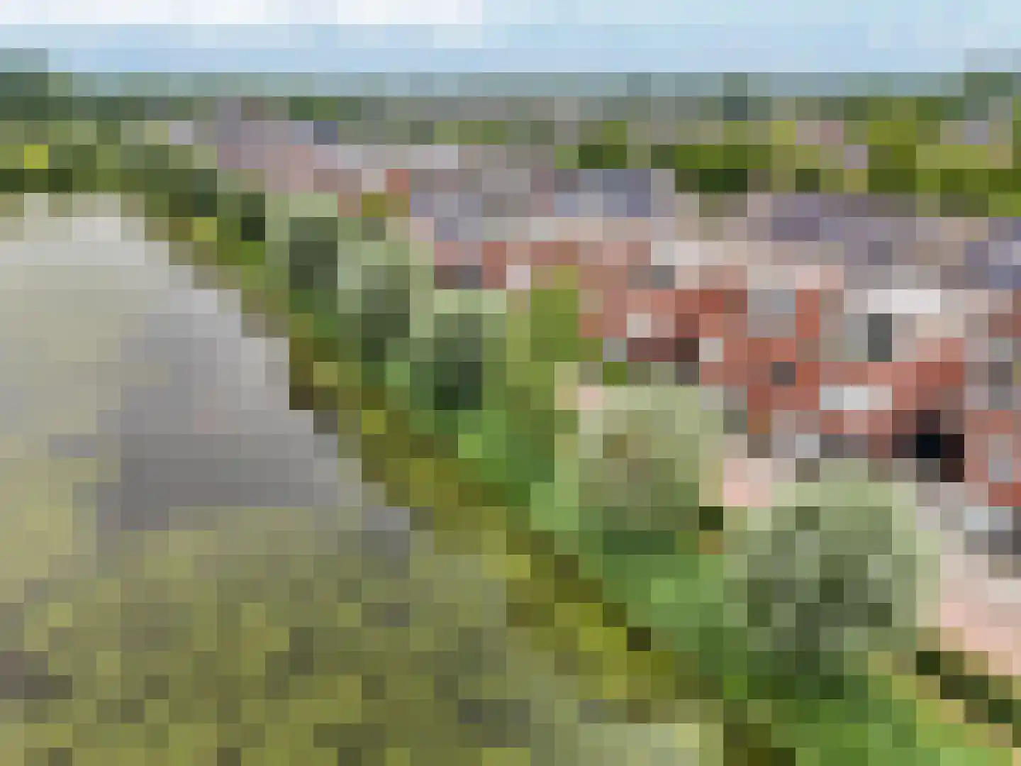 Binnenbaan 7 Gorinchem thumbnail 29
