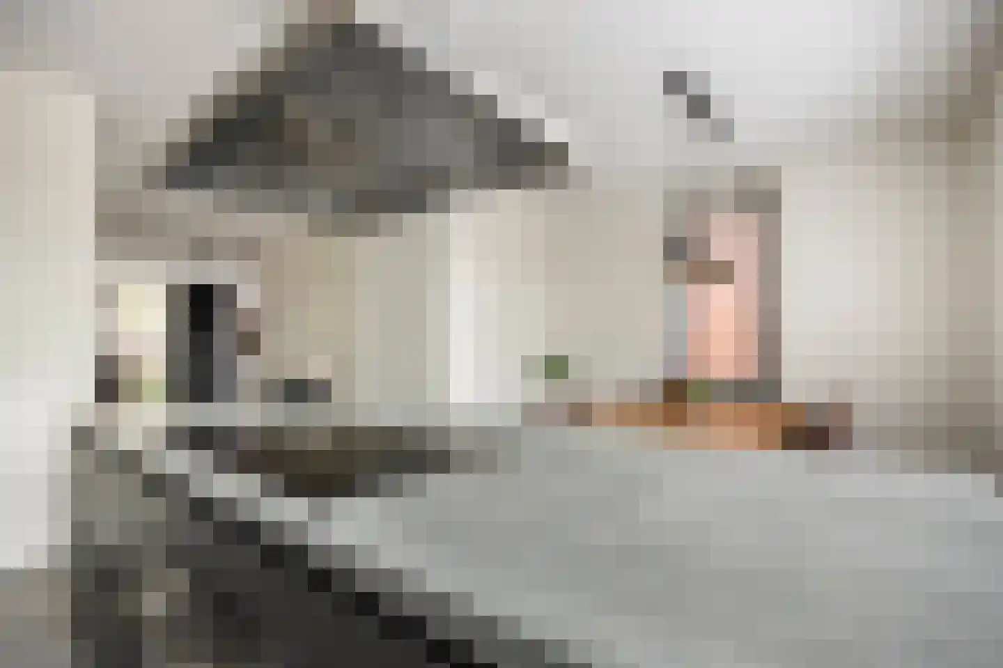 Binnenbaan 7 Gorinchem thumbnail 8