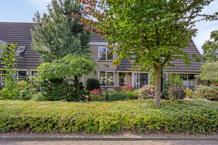 Binnenbans 29 en Mijnsheerenland foto