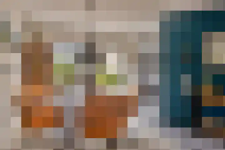Binnenbans 29 Mijnsheerenland thumbnail 10