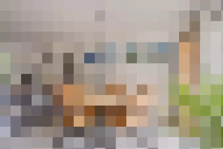 Binnenbans 29 Mijnsheerenland thumbnail 11