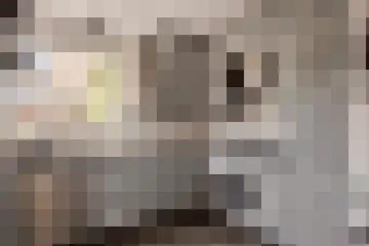 Binnenbans 29 Mijnsheerenland thumbnail 12