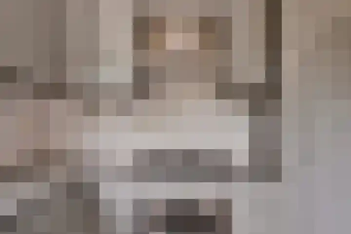 Binnenbans 29 Mijnsheerenland thumbnail 13