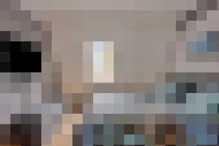 Binnenbans 29 Mijnsheerenland thumbnail 14