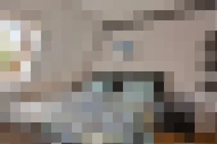 Binnenbans 29 Mijnsheerenland thumbnail 15