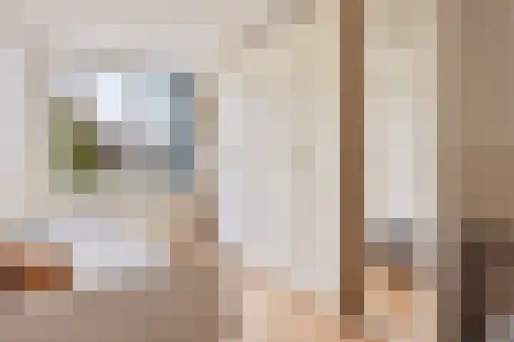 Binnenbans 29 Mijnsheerenland thumbnail 16