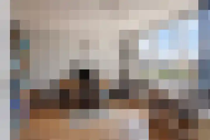 Binnenbans 29 Mijnsheerenland thumbnail 18