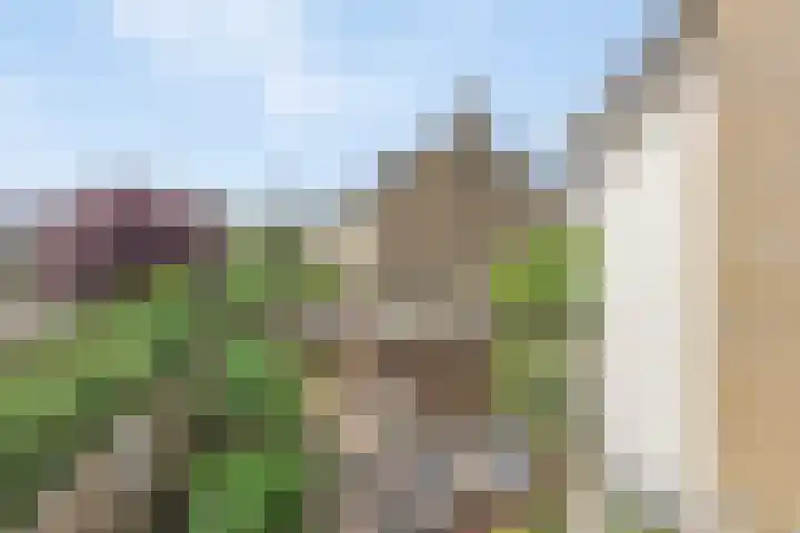 Binnenbans 29 Mijnsheerenland thumbnail 19