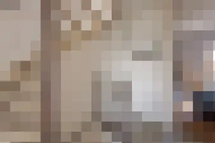 Binnenbans 29 Mijnsheerenland thumbnail 24