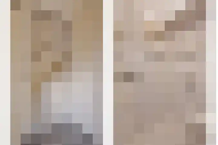 Binnenbans 29 Mijnsheerenland thumbnail 25