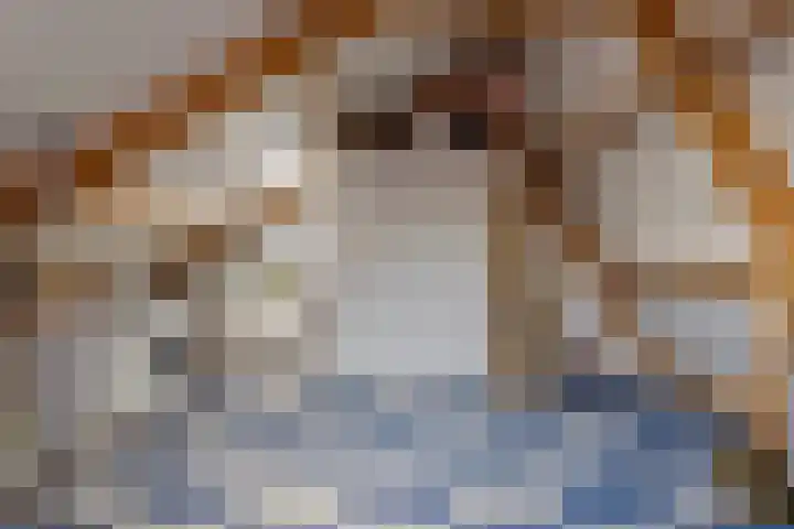 Binnenbans 29 Mijnsheerenland thumbnail 27