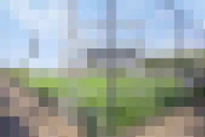 Binnenbans 29 Mijnsheerenland thumbnail 30