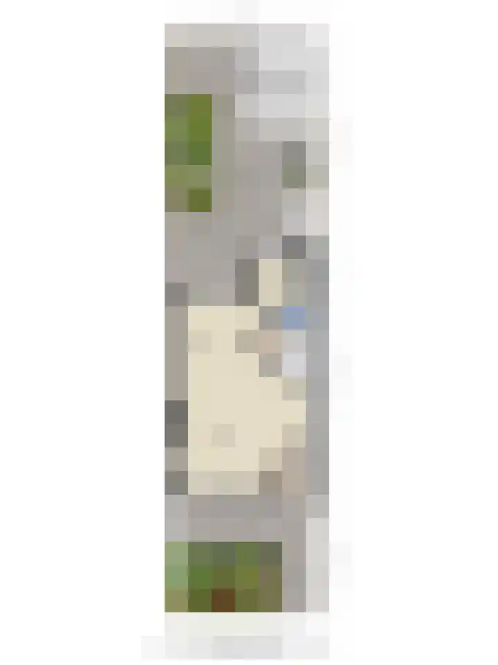 Binnenbans 29 Mijnsheerenland thumbnail 32