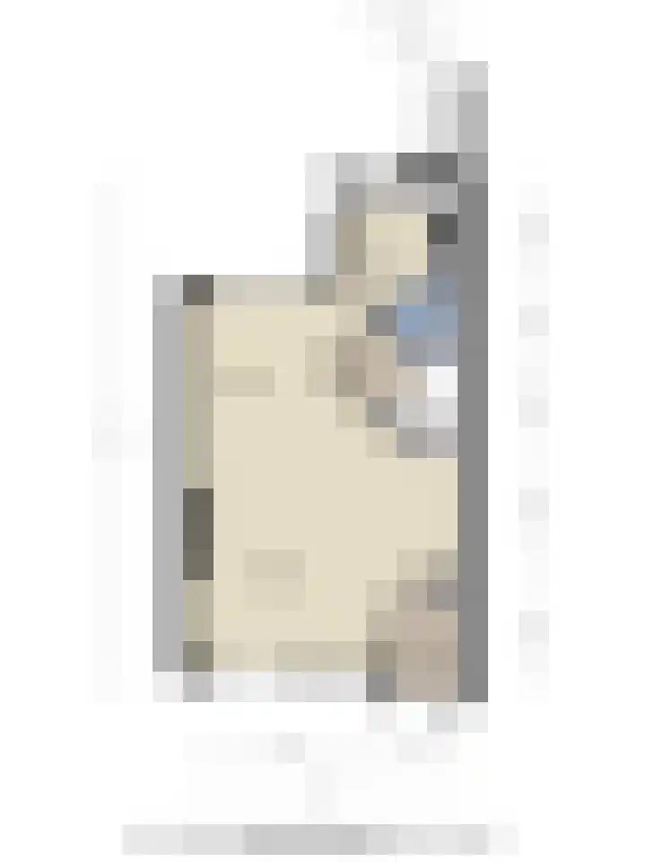 Binnenbans 29 Mijnsheerenland thumbnail 33