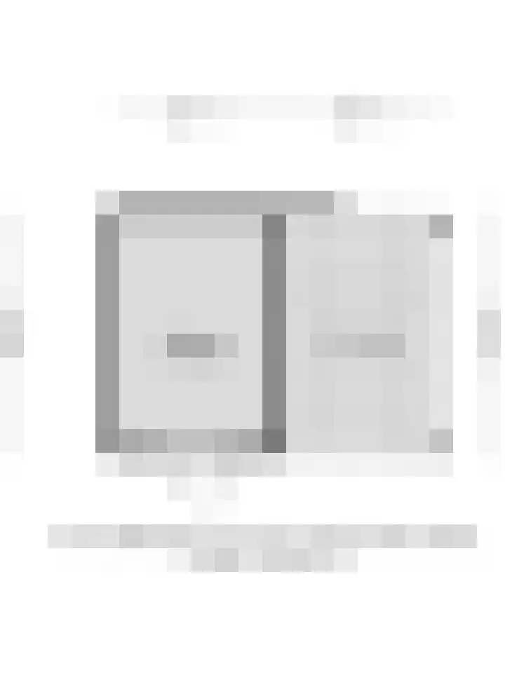 Binnenbans 29 Mijnsheerenland thumbnail 36