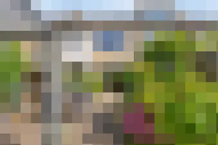 Binnenbans 29 Mijnsheerenland thumbnail 4