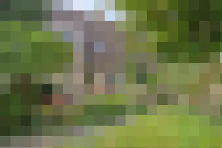 Binnenbans 29 Mijnsheerenland thumbnail 5