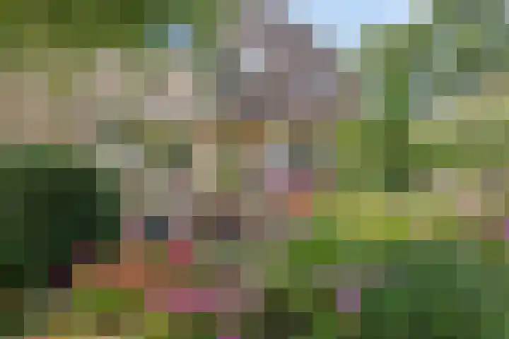 Binnenbans 29 Mijnsheerenland thumbnail 6