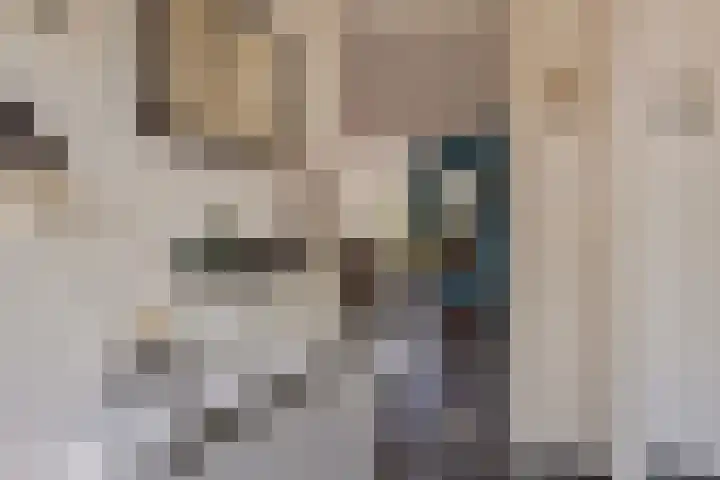Binnenbans 29 Mijnsheerenland thumbnail 7