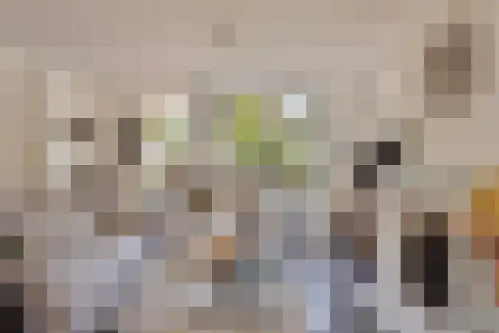 Binnenbans 29 Mijnsheerenland thumbnail 8