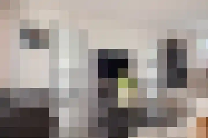 Binnenbeekstraat 16 Hengelo thumbnail 15