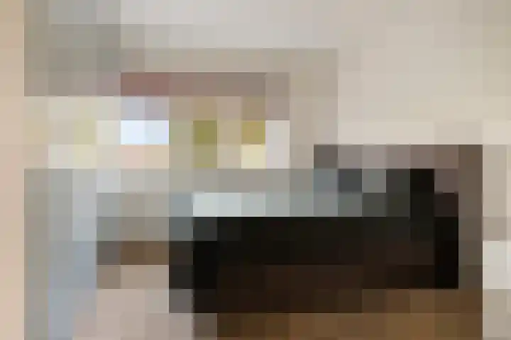 Binnenbeekstraat 16 Hengelo thumbnail 25
