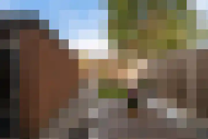 Binnenbeekstraat 16 Hengelo thumbnail 38