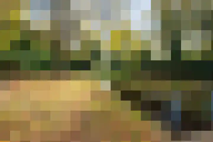 Binnenbeekstraat 16 Hengelo thumbnail 39