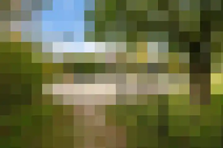Binnenbeekstraat 16 Hengelo thumbnail 40