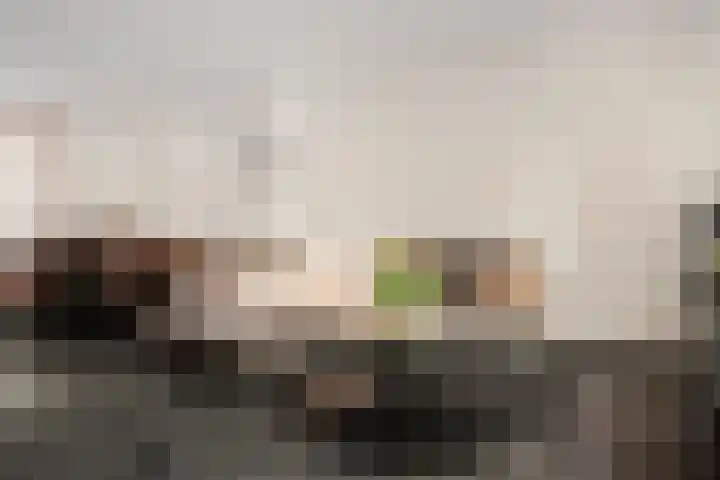 Binnenbeekstraat 16 Hengelo thumbnail 7