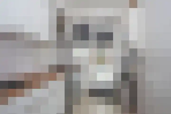 Binnenbeekstraat 4 Hengelo thumbnail 11