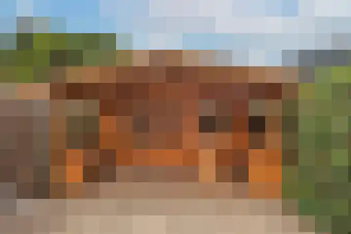 Binnenbeekstraat 4 Hengelo thumbnail 25