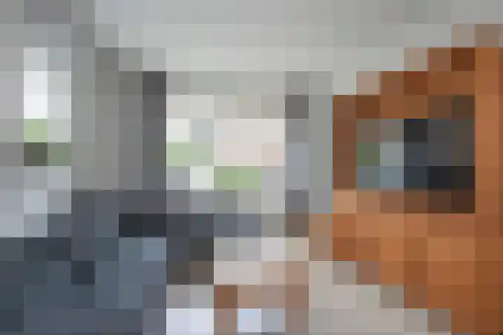 Binnenbeekstraat 4 Hengelo thumbnail 8