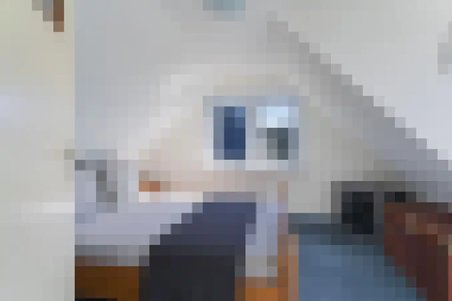 Binnenbuorren 9 Marsum thumbnail 18