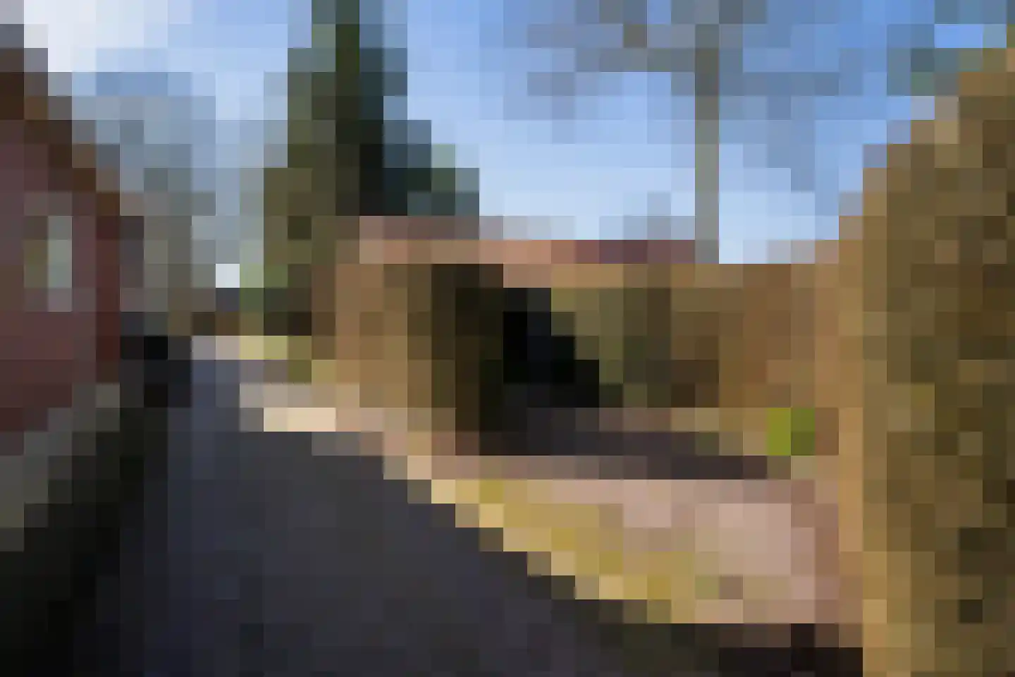 Binnenbuorren 9 Marsum thumbnail 28