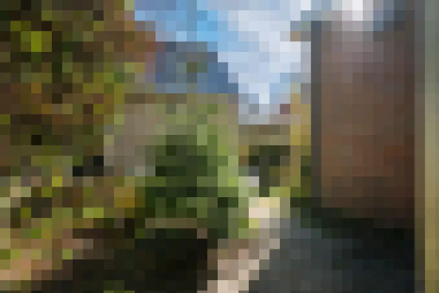 Binnenbuorren 9 Marsum thumbnail 33