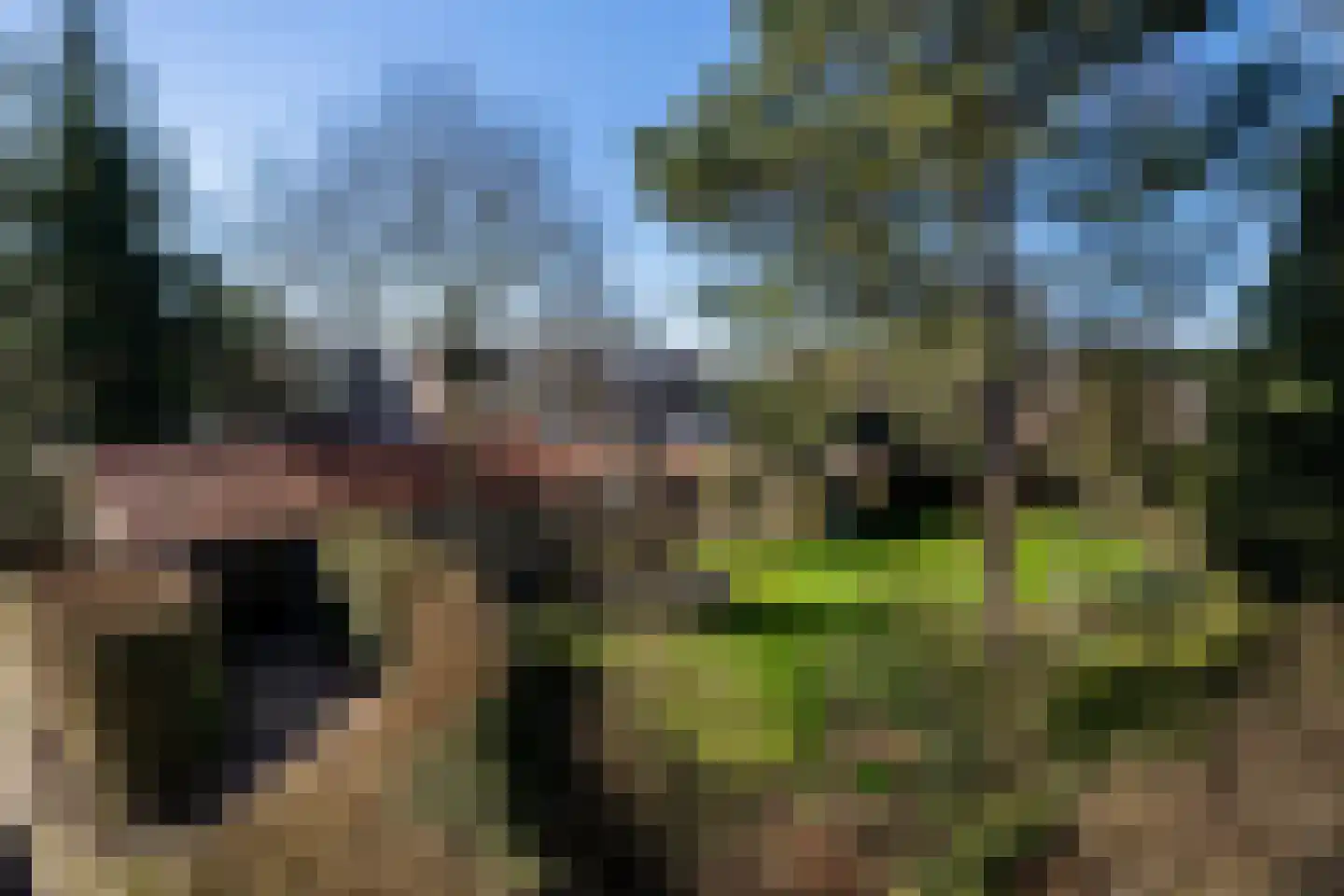Binnenbuorren 9 Marsum thumbnail 38