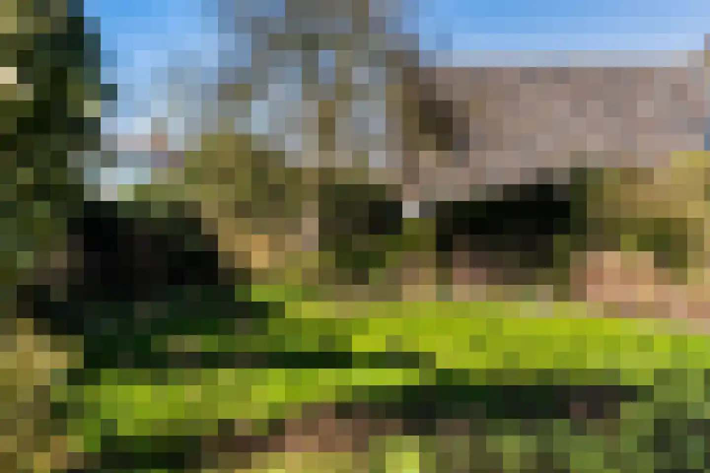Binnenbuorren 9 Marsum thumbnail 44