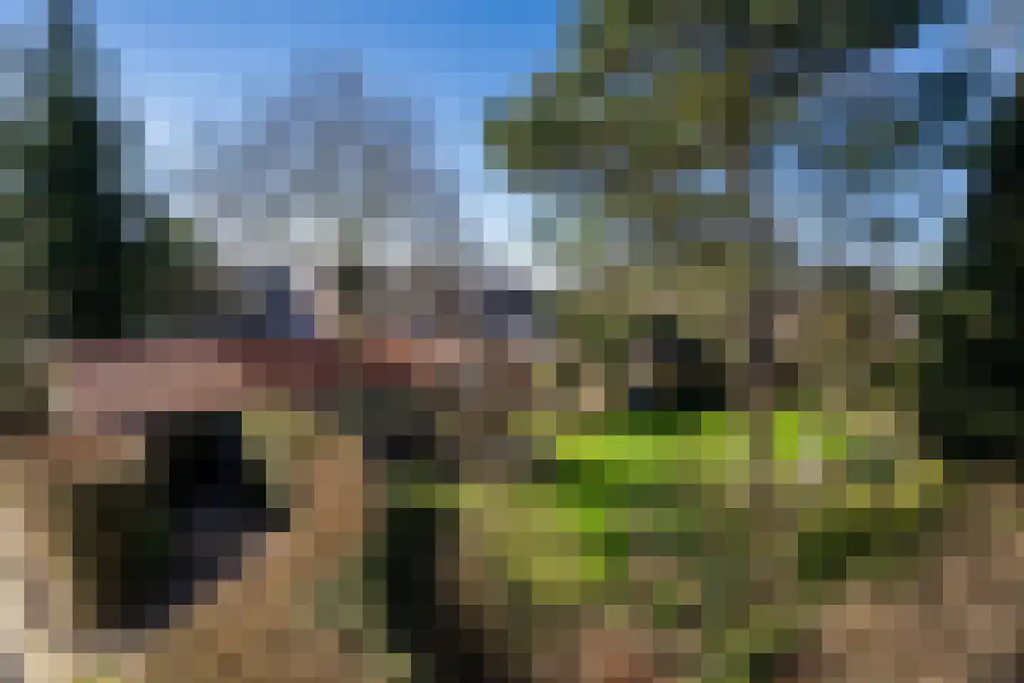 Binnenbuorren 9 Marsum thumbnail 45