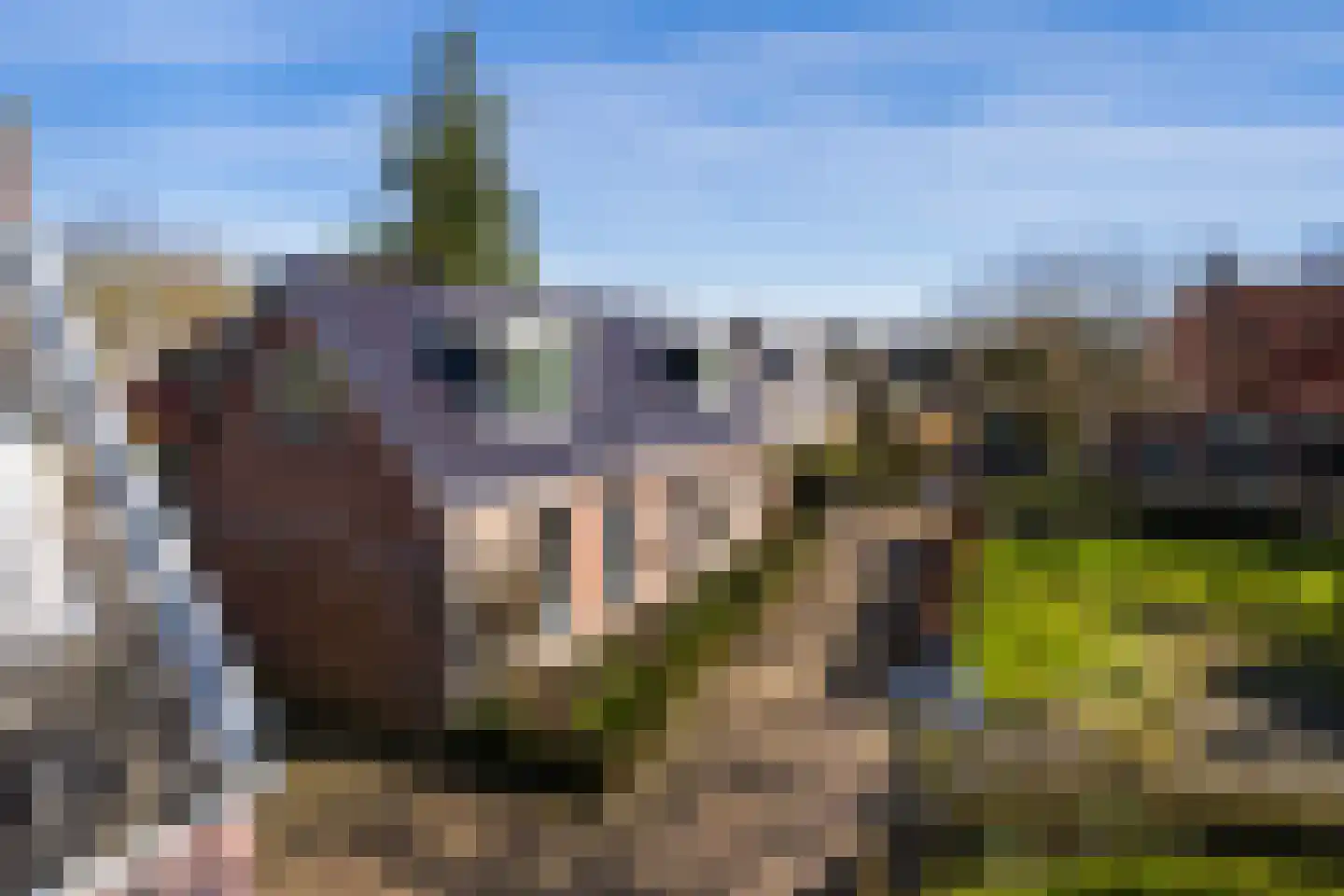 Binnenbuorren 9 Marsum thumbnail 47