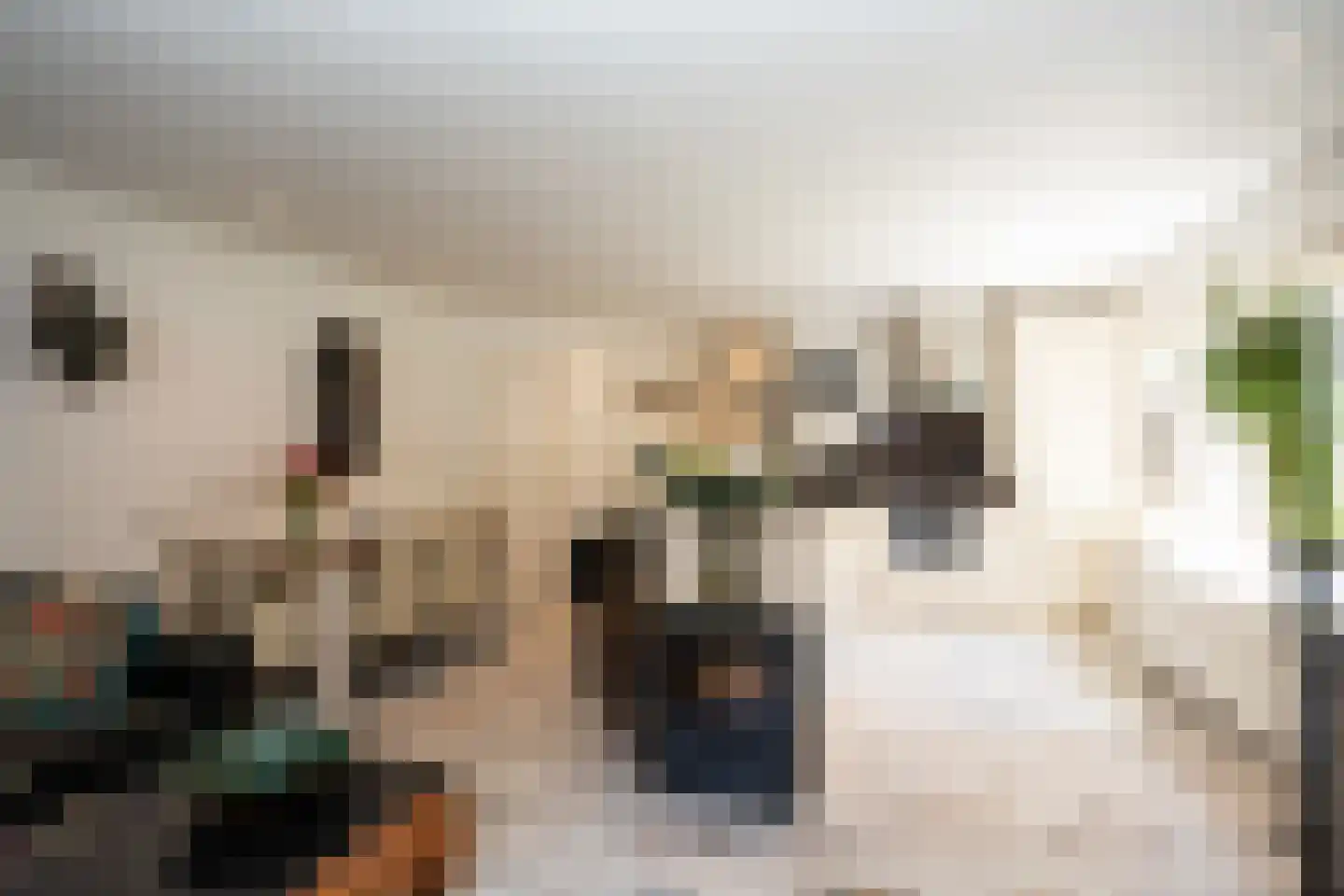 Binnenburg 4 Den Burg thumbnail 12