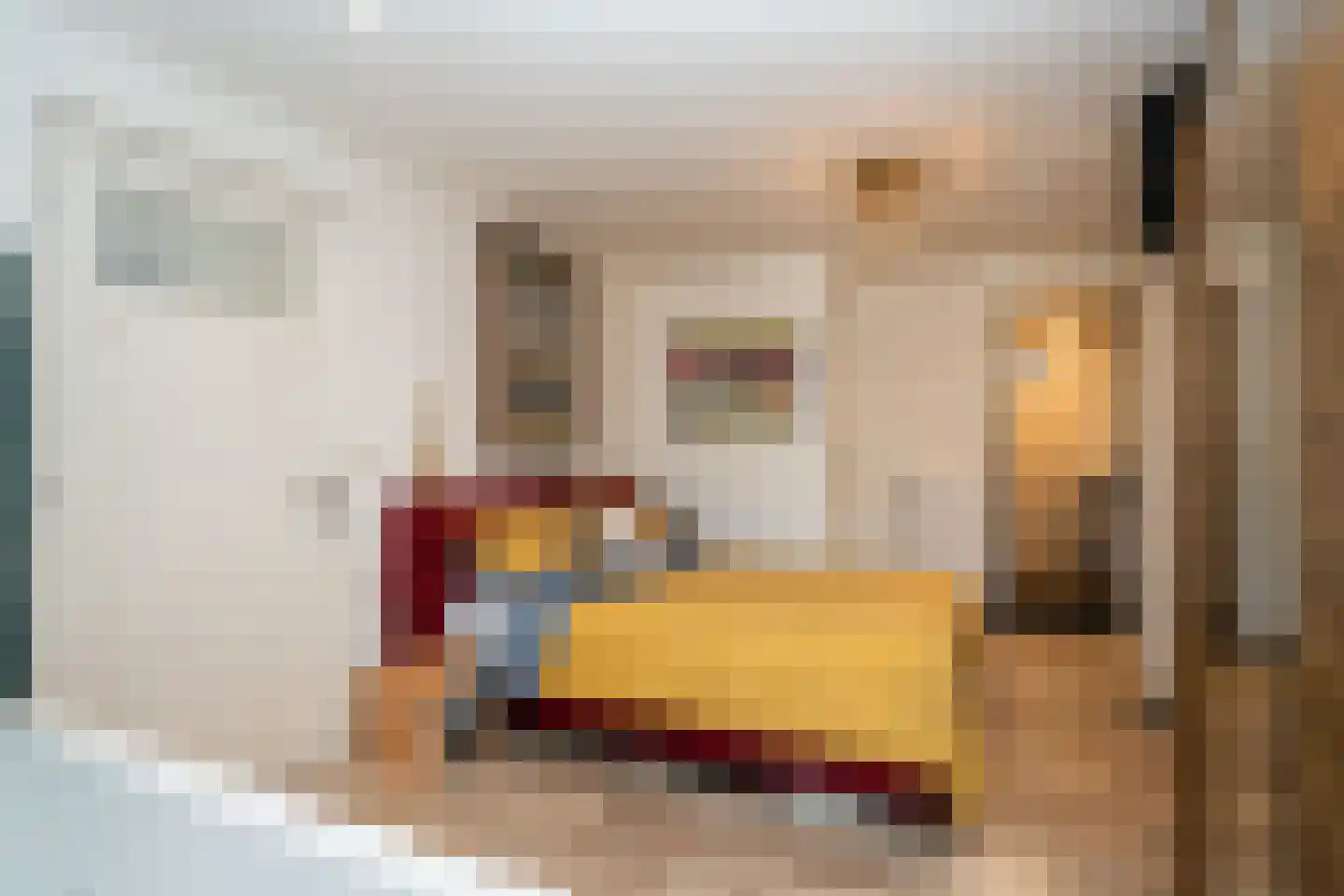 Binnenburg 4 Den Burg thumbnail 20
