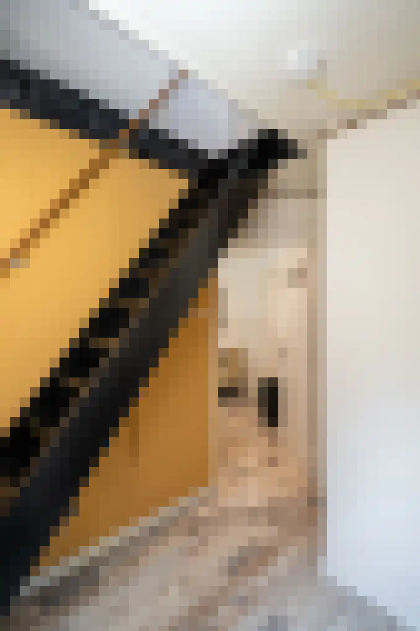 Binnenburg 4 Den Burg thumbnail 24